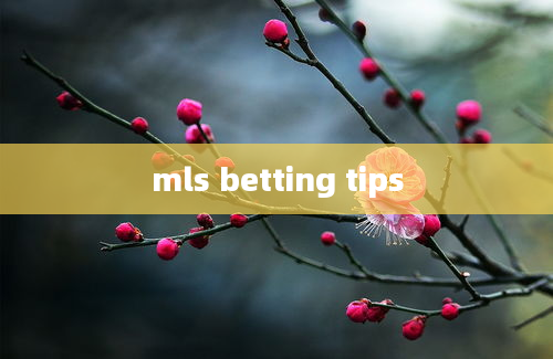 mls betting tips