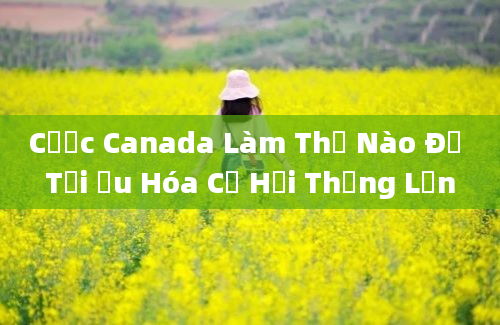 Cược Canada Làm Thế Nào Để Tối Ưu Hóa Cơ Hội Thắng Lớn