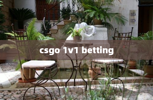 csgo 1v1 betting