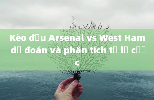 Kèo đấu Arsenal vs West Ham dự đoán và phân tích tỷ lệ cược