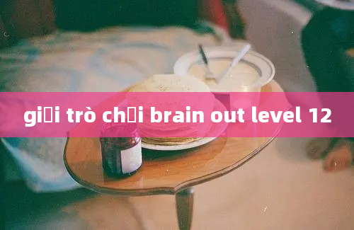 giải trò chơi brain out level 12