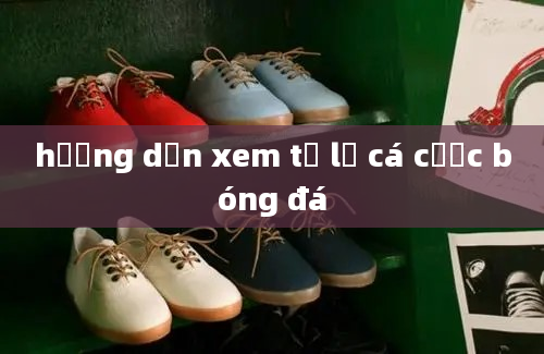 hướng dẫn xem tỷ lệ cá cược bóng đá