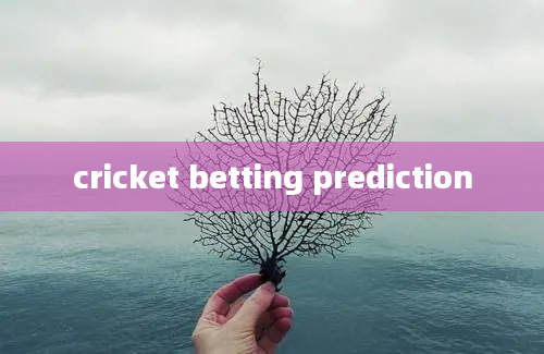 cricket betting prediction