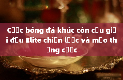 Cược bóng đá khúc côn cầu giải đấu Elite chiến lược và mẹo thắng cược