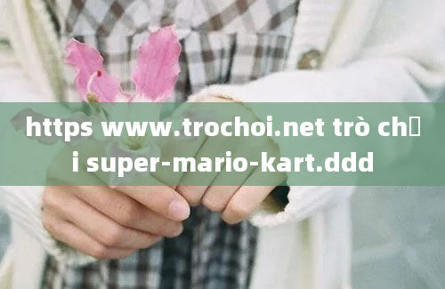 https www.trochoi.net trò chơi super-mario-kart.ddd