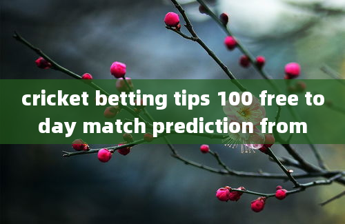 cricket betting tips 100 free today match prediction from