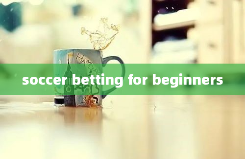 soccer betting for beginners