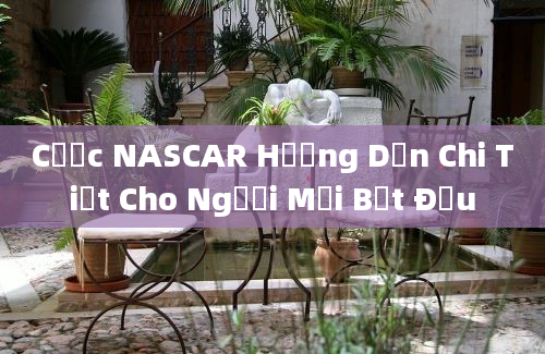 Cược NASCAR Hướng Dẫn Chi Tiết Cho Người Mới Bắt Đầu