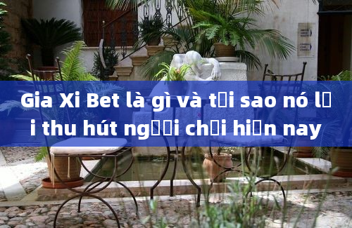 Gia Xi Bet là gì và tại sao nó lại thu hút người chơi hiện nay