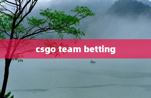 csgo team betting