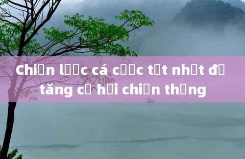 Chiến lược cá cược tốt nhất để tăng cơ hội chiến thắng