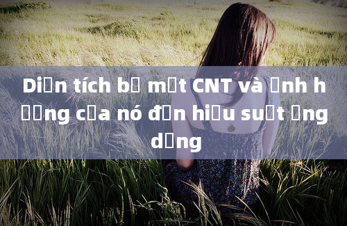 Diện tích bề mặt CNT và ảnh hưởng của nó đến hiệu suất ứng dụng