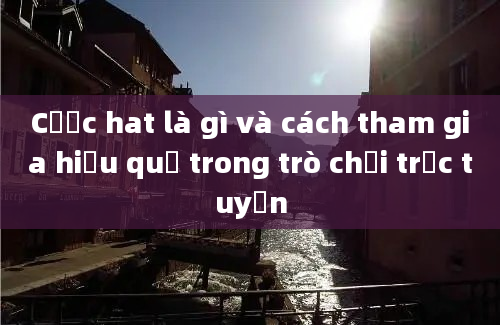 Cược hat là gì và cách tham gia hiệu quả trong trò chơi trực tuyến