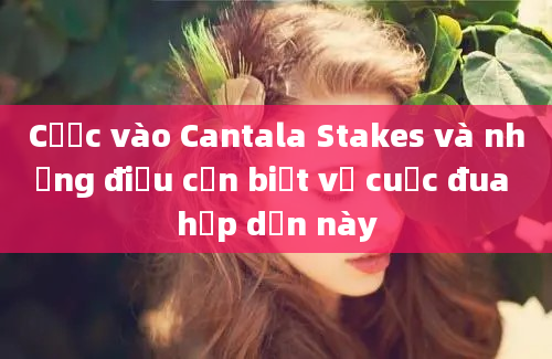 Cược vào Cantala Stakes và những điều cần biết về cuộc đua hấp dẫn này