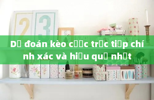 Dự đoán kèo cược trực tiếp chính xác và hiệu quả nhất