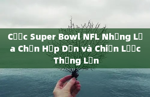 Cược Super Bowl NFL Những Lựa Chọn Hấp Dẫn và Chiến Lược Thắng Lớn