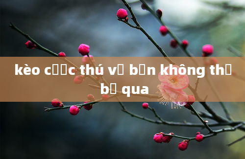 kèo cược thú vị bạn không thể bỏ qua