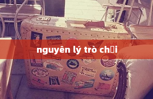 nguyên lý trò chơi