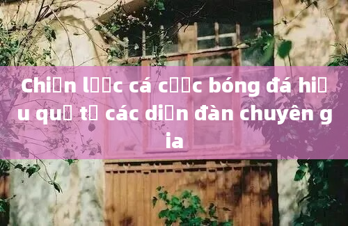 Chiến lược cá cược bóng đá hiệu quả từ các diễn đàn chuyên gia