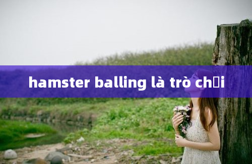 hamster balling là trò chơi