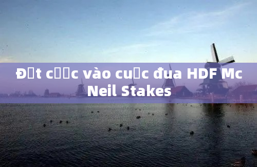 Đặt cược vào cuộc đua HDF McNeil Stakes