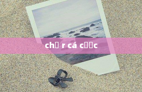 chữ r cá cược