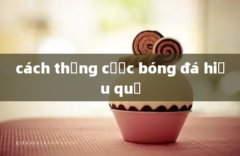 cách thắng cược bóng đá hiệu quả