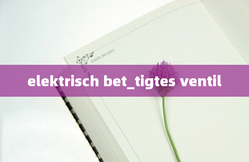 elektrisch bet_tigtes ventil