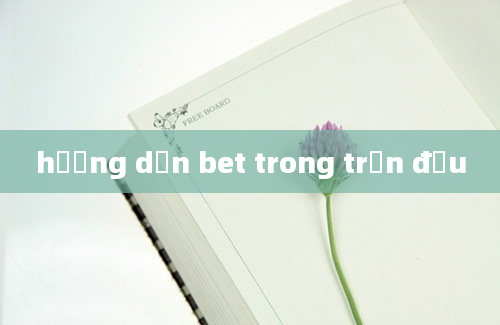 hướng dẫn bet trong trận đấu