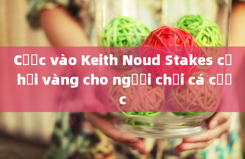 Cược vào Keith Noud Stakes cơ hội vàng cho người chơi cá cược