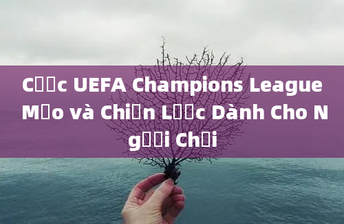 Cược UEFA Champions League Mẹo và Chiến Lược Dành Cho Người Chơi