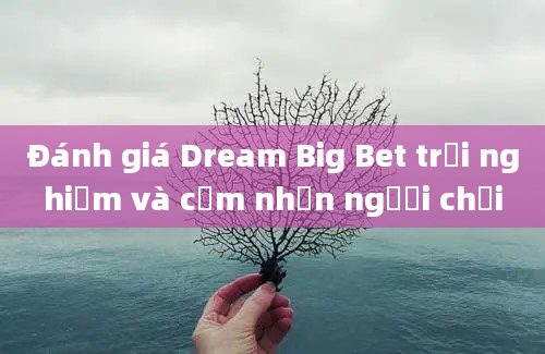 Đánh giá Dream Big Bet trải nghiệm và cảm nhận người chơi