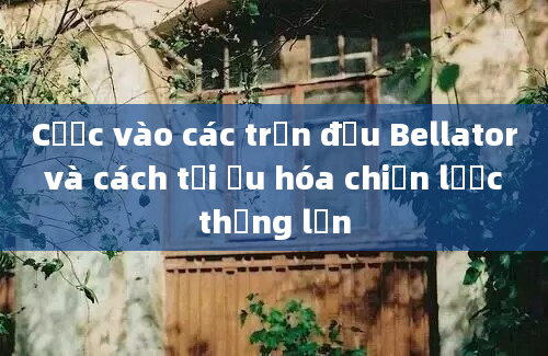 Cược vào các trận đấu Bellator và cách tối ưu hóa chiến lược thắng lớn