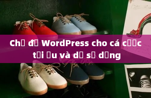 Chủ đề WordPress cho cá cược tối ưu và dễ sử dụng