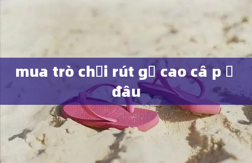 mua trò chơi rút gỗ cao câ p ở đâu