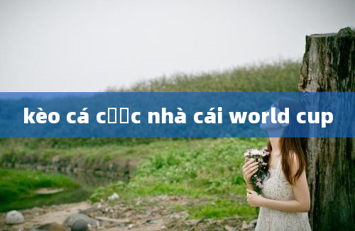 kèo cá cược nhà cái world cup