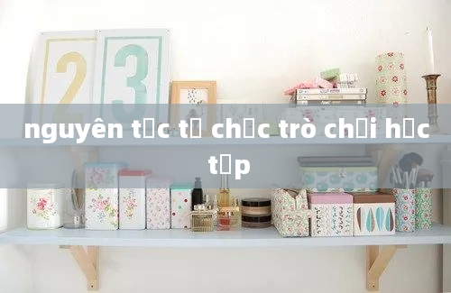 nguyên tắc tổ chức trò chơi học tập