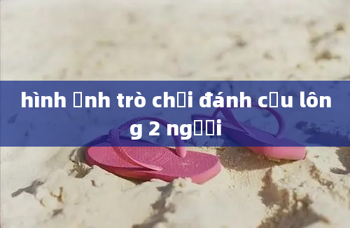 hình ảnh trò chơi đánh cầu lông 2 người