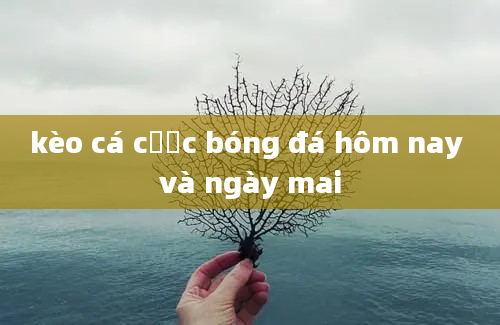 kèo cá cược bóng đá hôm nay và ngày mai