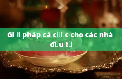 Giải pháp cá cược cho các nhà đầu tư