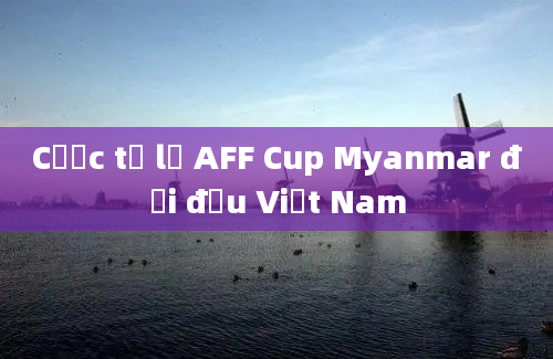 Cược tỷ lệ AFF Cup Myanmar đối đầu Việt Nam