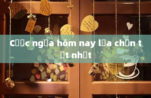 Cược ngựa hôm nay lựa chọn tốt nhất