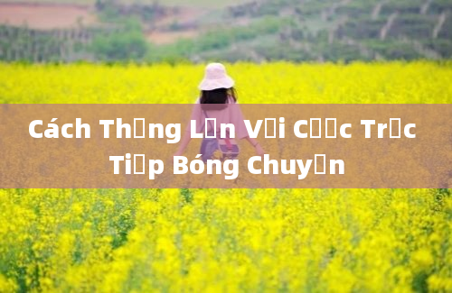 Cách Thắng Lớn Với Cược Trực Tiếp Bóng Chuyền