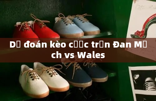 Dự đoán kèo cược trận Đan Mạch vs Wales