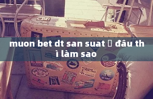 muon bet dt san suat ở đâu thì làm sao