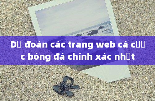 Dự đoán các trang web cá cược bóng đá chính xác nhất