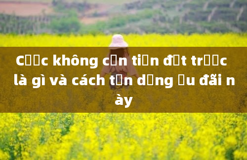 Cược không cần tiền đặt trước là gì và cách tận dụng ưu đãi này