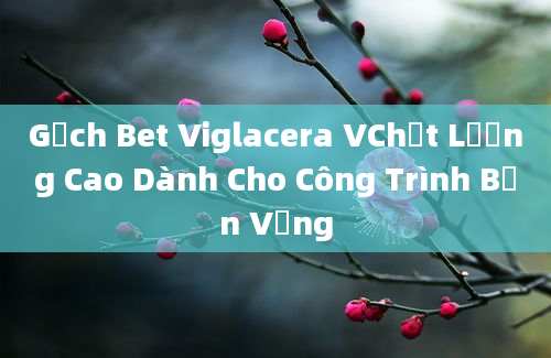 Gạch Bet Viglacera VChất Lượng Cao Dành Cho Công Trình Bền Vững