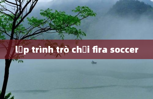 lập trình trò chơi fira soccer