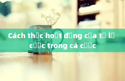 Cách thức hoạt động của tỷ lệ cược trong cá cược